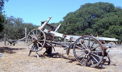 View of old wagon in field.